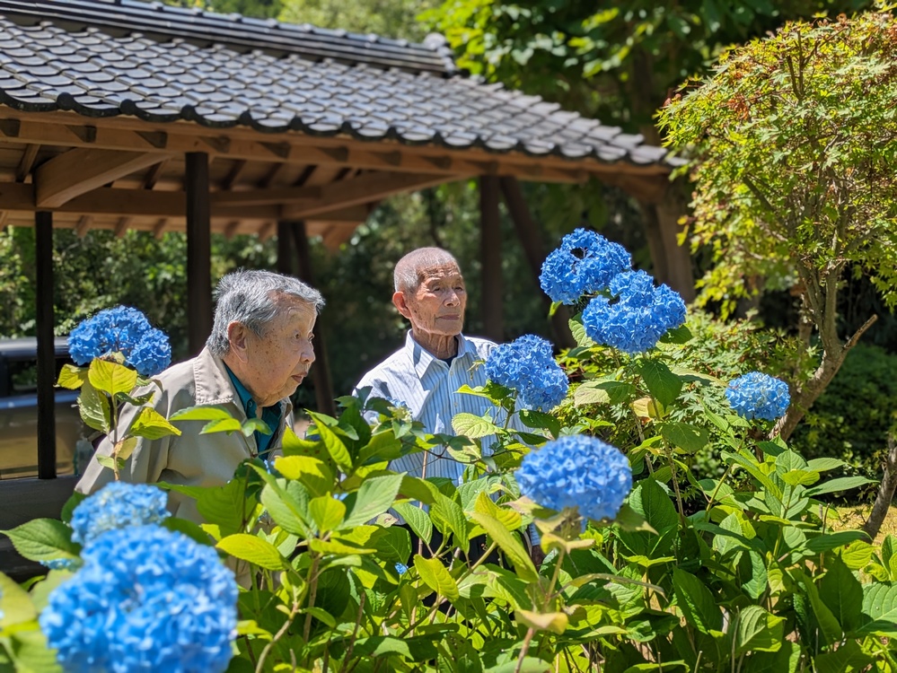 ええ