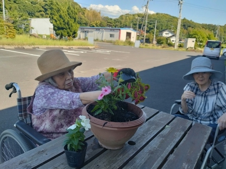 寄せ植え1