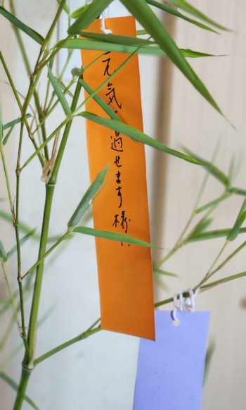 七夕7