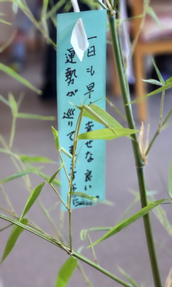 七夕8